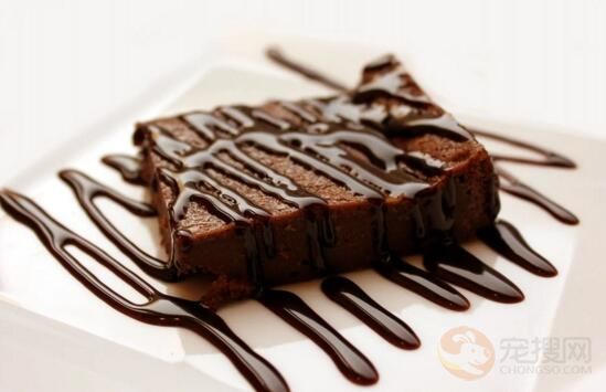 狗偷吃巧克力怎么办 狗吃了巧克力怎么解决(图5)