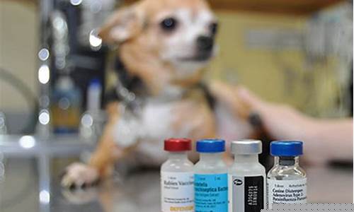 ﻿宠物健康和疫苗技术领域的重要进展(图1)